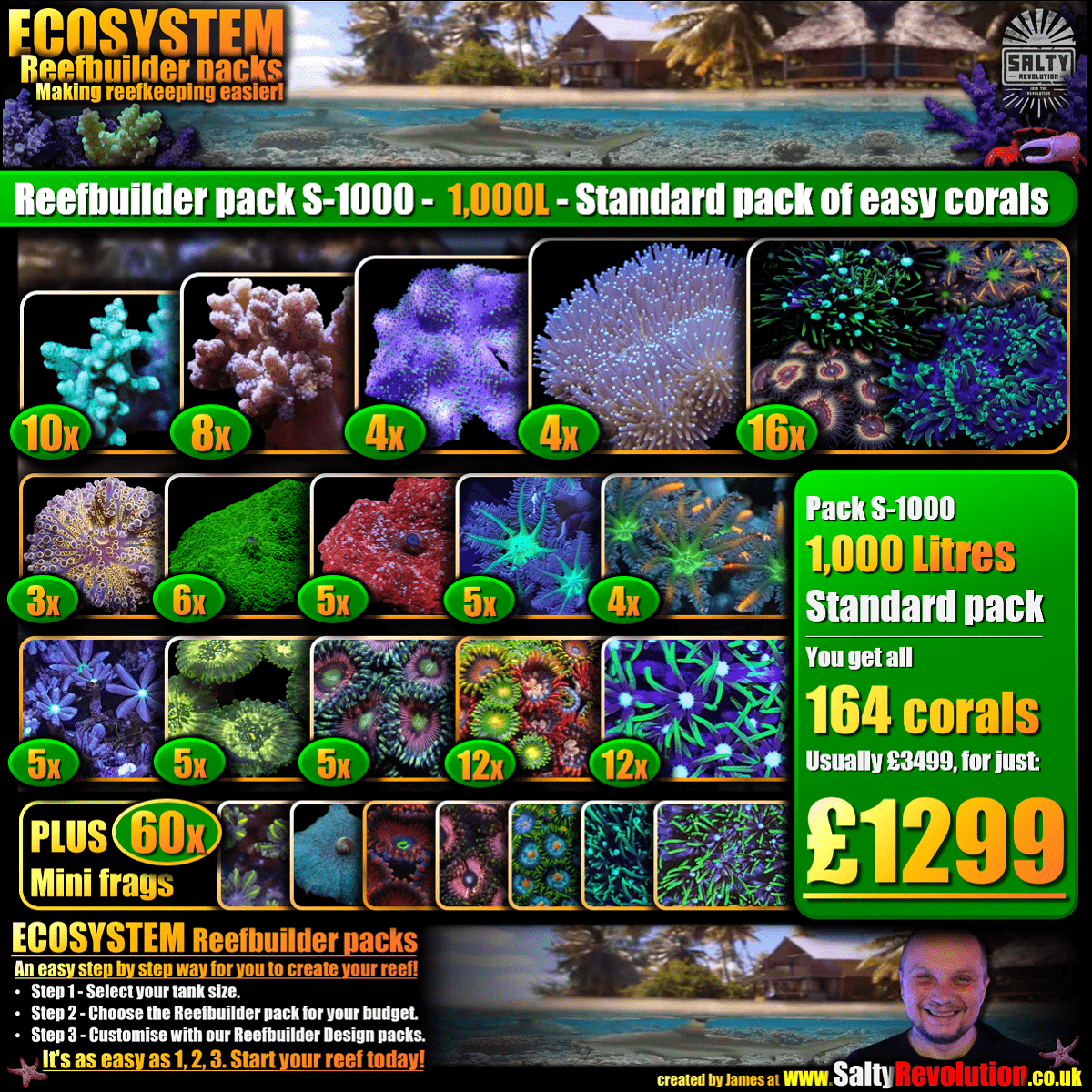 New! - ECOSYSTEM Reefbuilder pack S-1000 - 1,000L Standard pack of easy corals