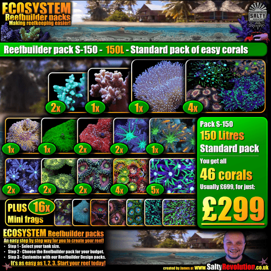 ECOSYSTEM Reefbuilder pack S-150 - 150L Standard pack of easy corals