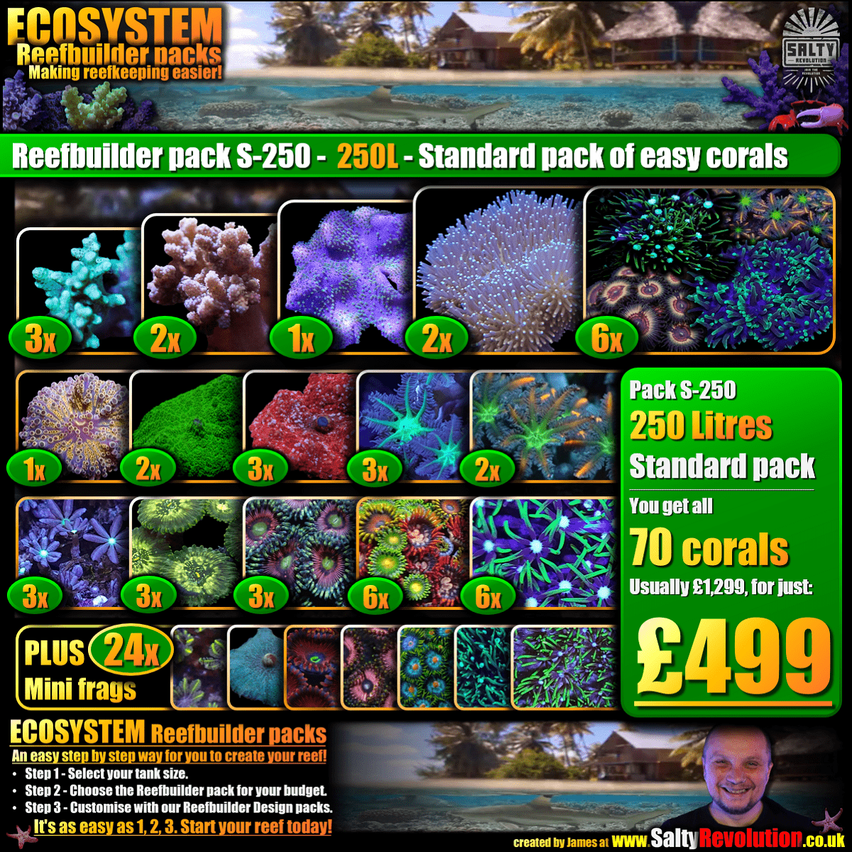 SS - New! - ECOSYSTEM Reefbuilder pack S-250 - 250L Standard pack of easy corals