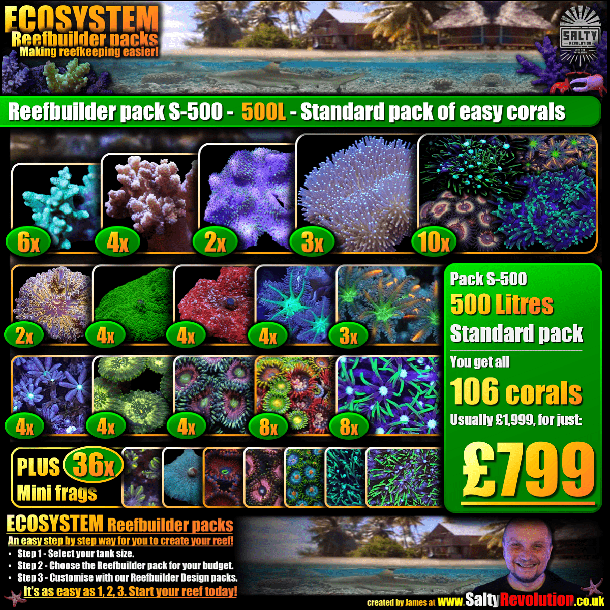 SS - New! - ECOSYSTEM Reefbuilder pack S-500 - 500L Standard pack of easy corals