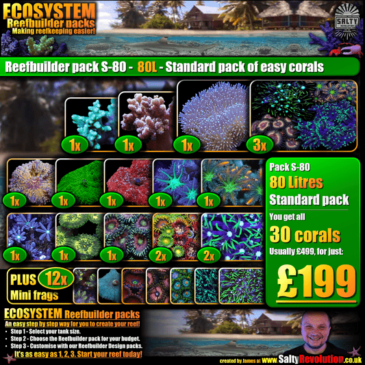 SS - ECOSYSTEM Reefbuilder pack S-80 - 80L Standard pack of easy corals