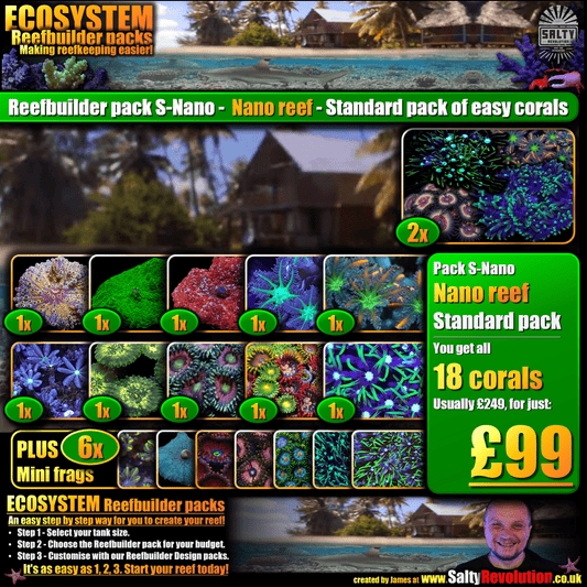 SS - ECOSYSTEM Reefbuilder pack S-Nano - Nano reef Standard pack of easy corals
