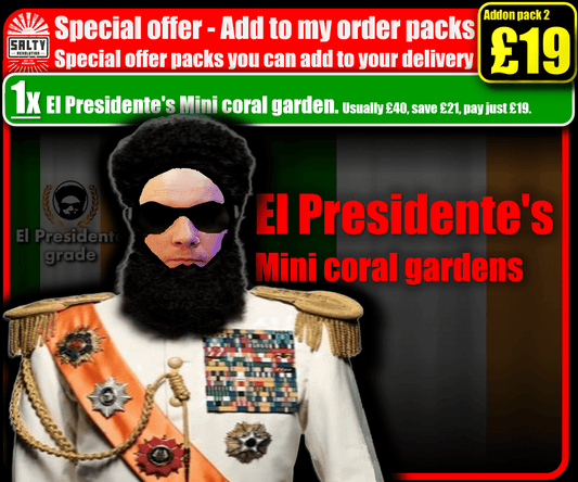 NEW! - Special offer Add to my order packs - Pack 2 - 1x El Presidente's Mini coral garden £19