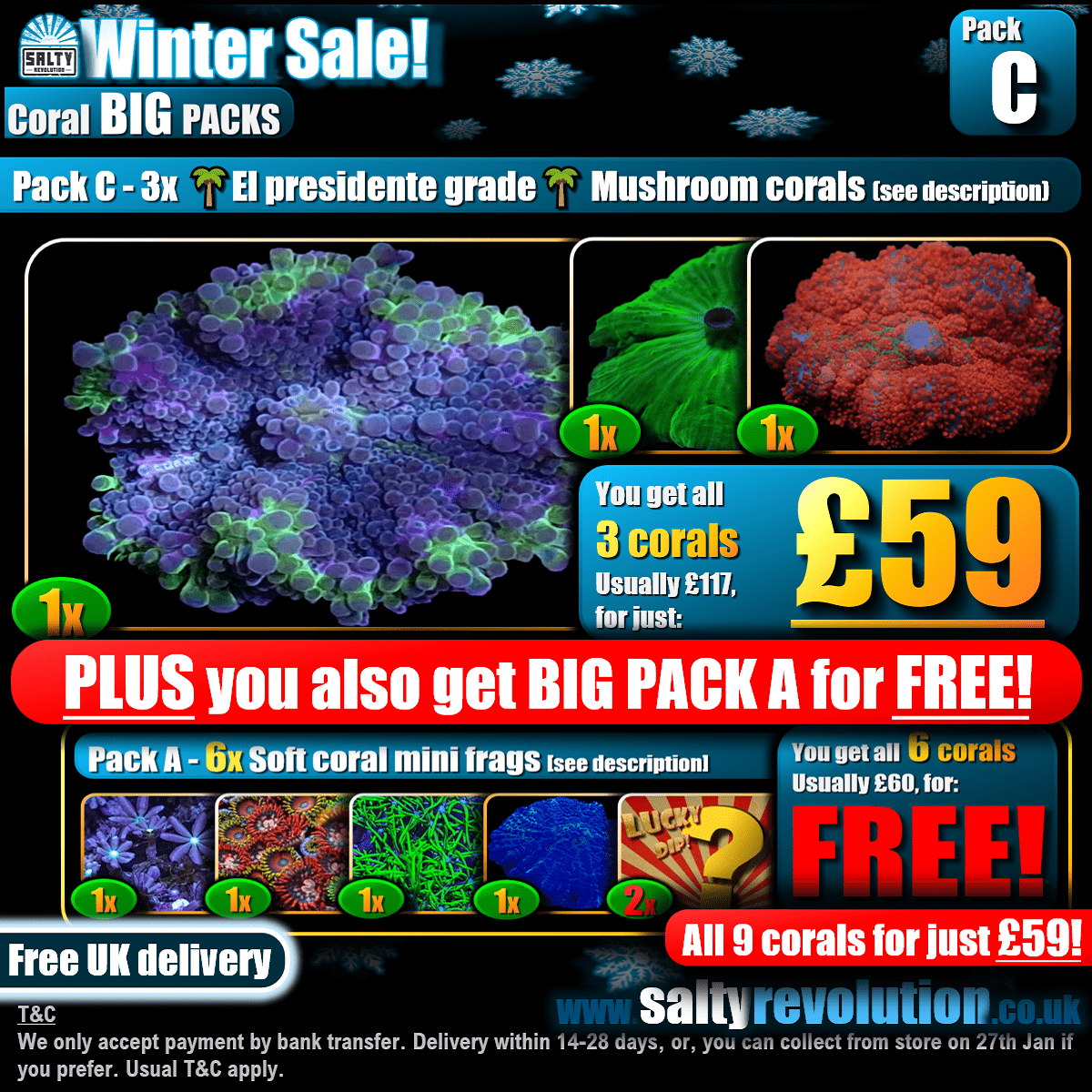 Winter Sale - BIG PACKS - Pack C - £59