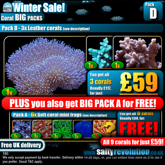 Winter Sale - BIG PACKS - Pack D - £59