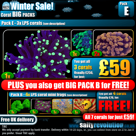 Winter Sale - BIG PACKS - Pack E - £59