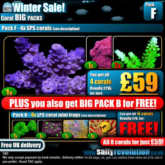 Winter Sale - BIG PACKS - Pack F - £59