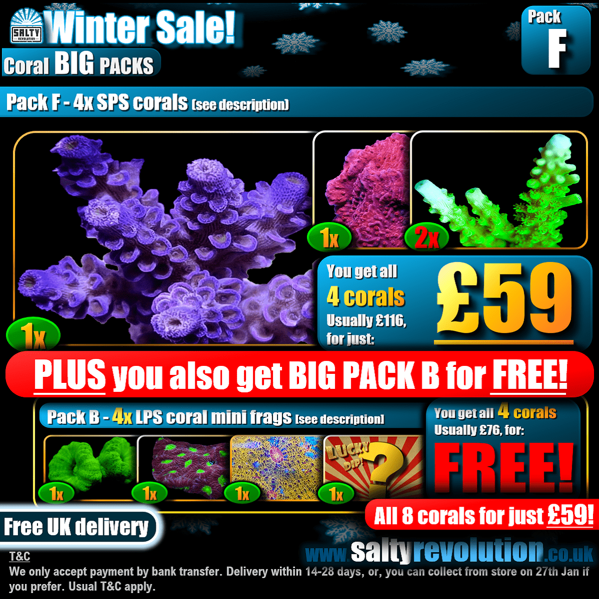 Winter Sale - BIG PACKS - Pack F - £59