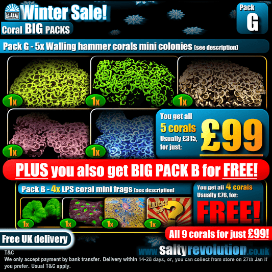 Winter Sale - BIG PACKS - Pack G - £99 - Only 3 of these packs available!