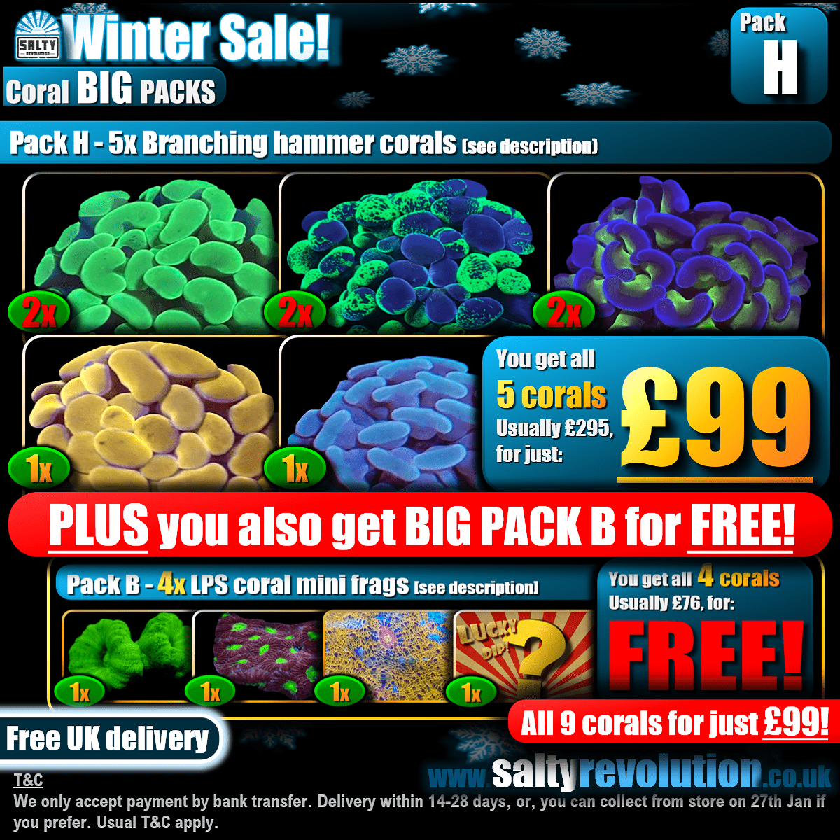 Winter Sale - BIG PACKS - Pack H - £99 - Only 4 of these packs available!