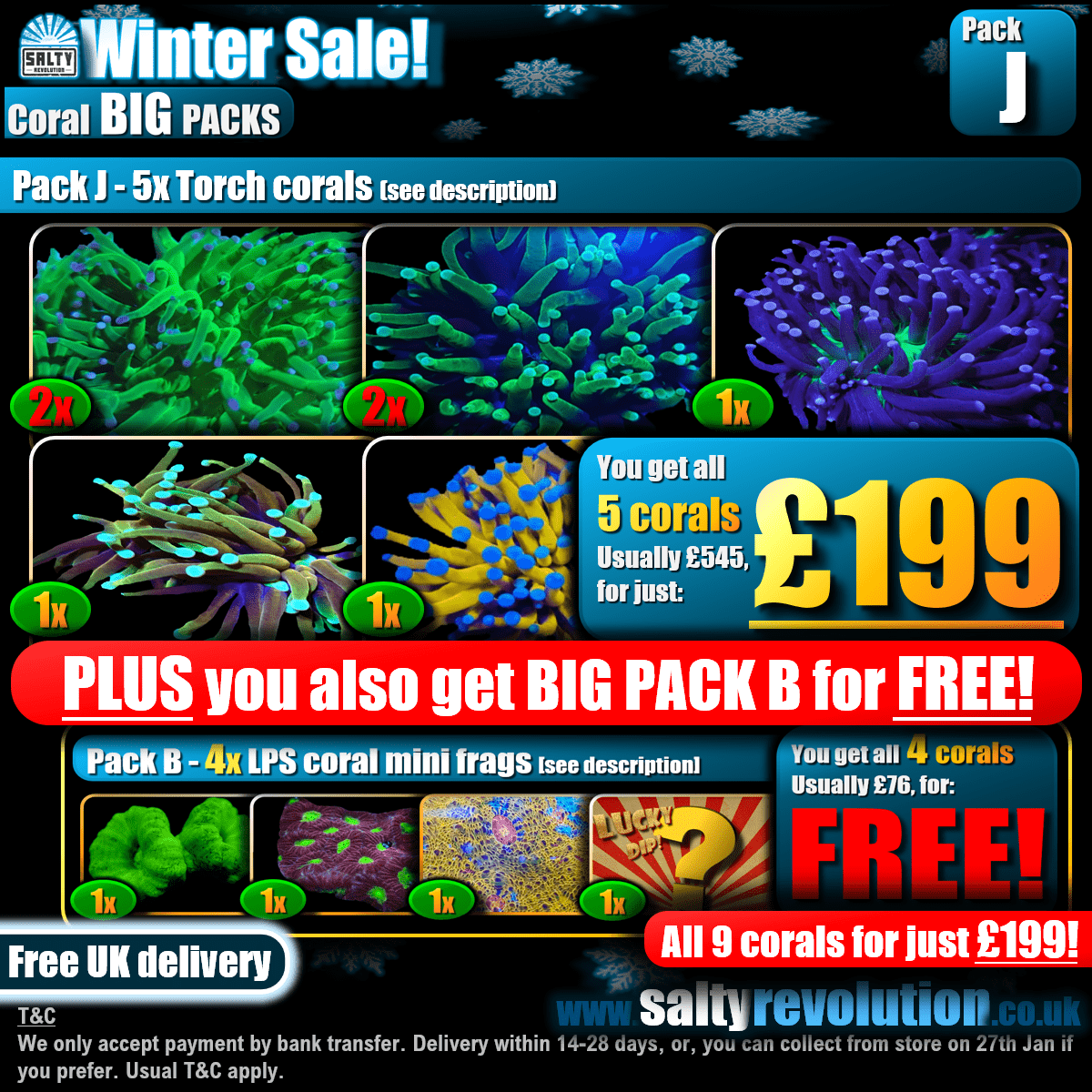 Winter Sale - BIG PACKS - Pack J - £199 - Only 3 of these packs available!