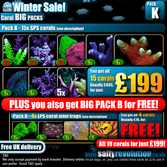 Winter Sale - BIG PACKS - Pack K - £199 - Only 6 of these packs available!