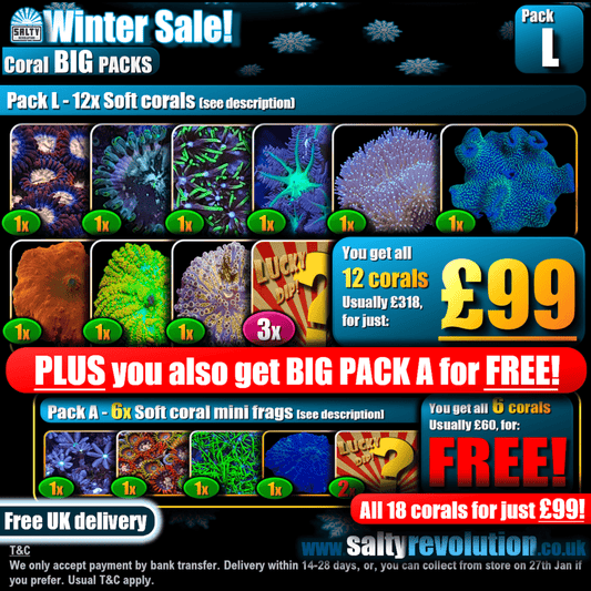 Winter Sale - BIG PACKS - Pack L - £99 - Only 12 of these packs available!