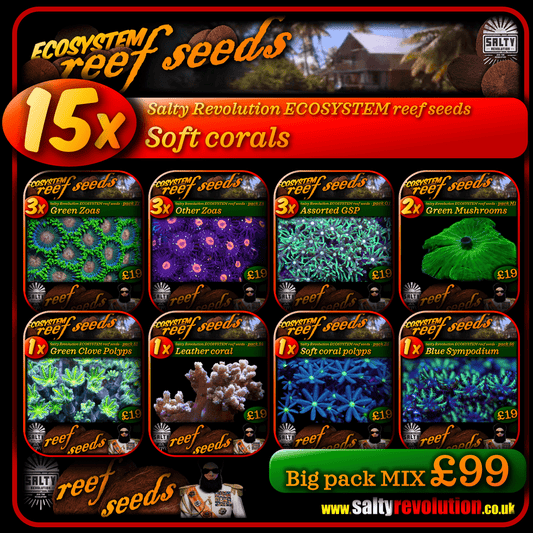 ECOSYSTEM reef seeds - Coral Big pack MIX - 15x Soft corals