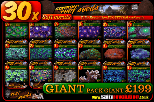 ECOSYSTEM reef seeds - Coral GIANT pack  - 30x Soft corals