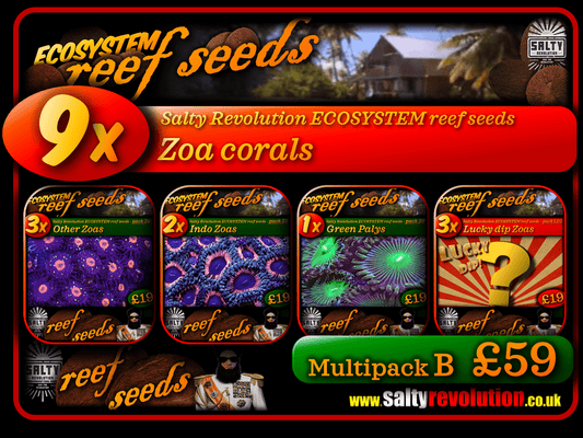ECOSYSTEM reef seeds - Coral Multipack B - 9x Zoa corals