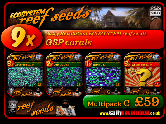 ECOSYSTEM reef seeds - Coral Multipack C - 9x GSP corals