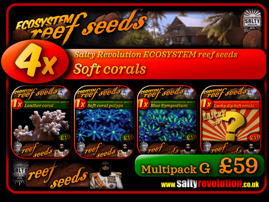 ECOSYSTEM reef seeds - Coral Multipack G - 4x Soft corals