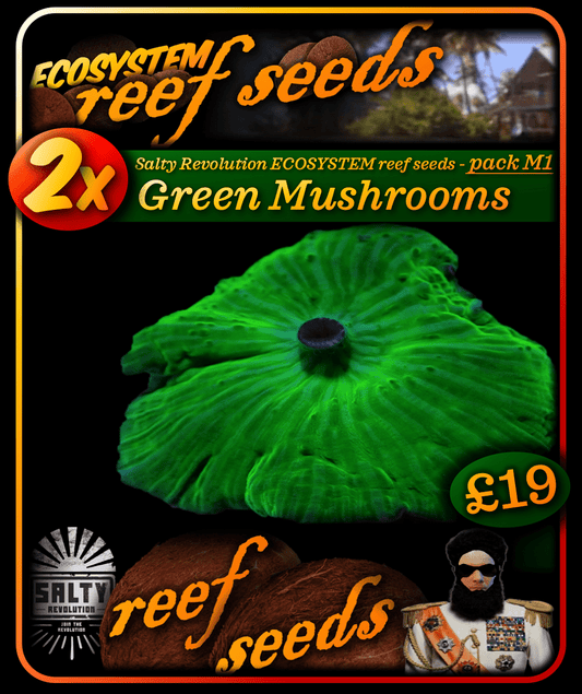 ECOSYSTEM reef seeds - Coral pack M1 - 2x Green Mushroom corals