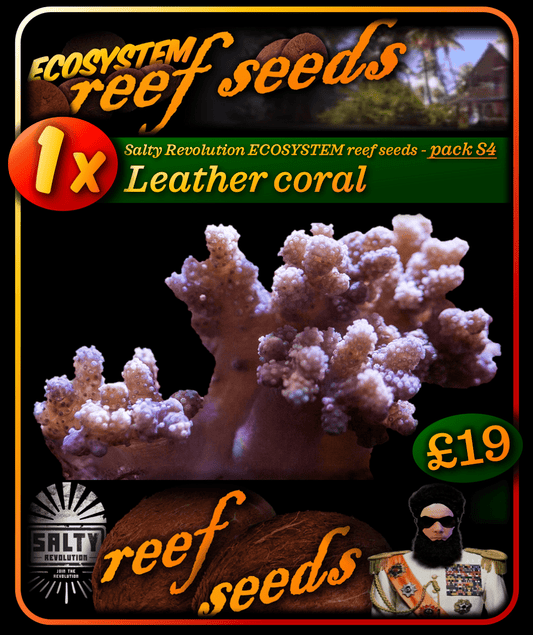 ECOSYSTEM reef seeds - Coral pack S4 - 1x Leather coral