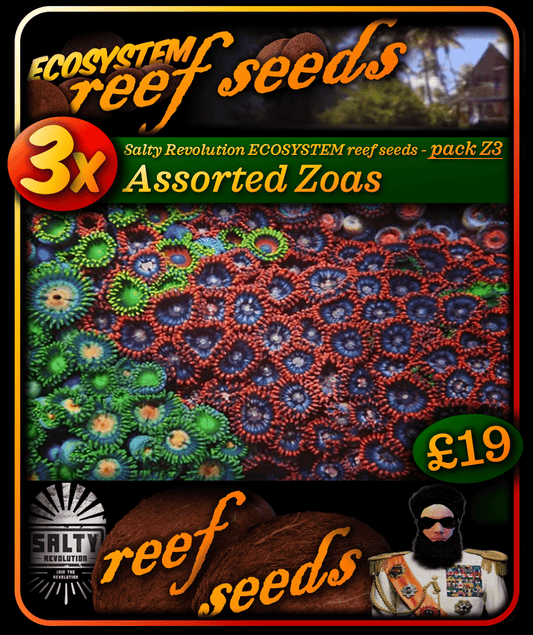 ECOSYSTEM reef seeds - Coral pack Z3 - 3x Assorted Zoa corals