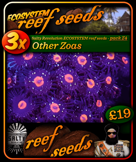 ECOSYSTEM reef seeds - Coral pack Z4 - 3x Other Zoa corals