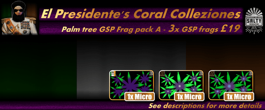 El Presidente's Coral Colleziones - Palm tree Star polyps pack A - 3x GSP frags for £19.