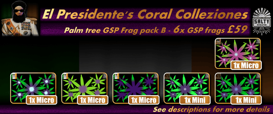El Presidente's Coral Colleziones - Palm tree Star polyps pack B - 6x GSP frags for £59.