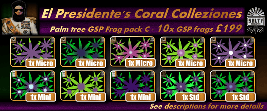 El Presidente's Coral Colleziones - Palm tree Star polyps pack C - 10x GSP frags for £199.