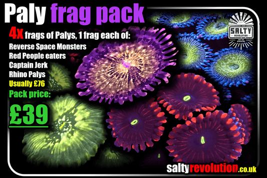 Paly Frag pack - 4x frags of these Palys - 1 pack for just £39 - 3 packs for £99!