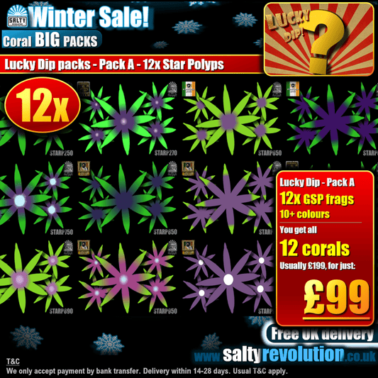 Winter Sale - BIG PACKS - Lucky Dip packs! - Pack A - 12x GSP frags £99