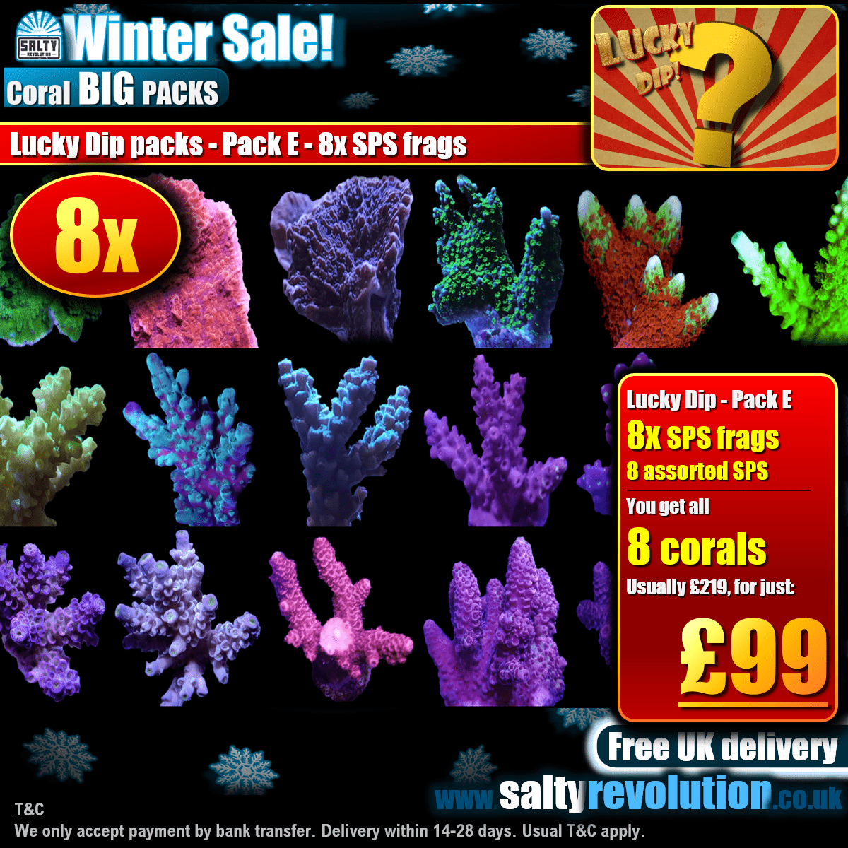 Winter Sale - BIG PACKS - Lucky Dip packs! - Pack E - 8x SPS frags £99