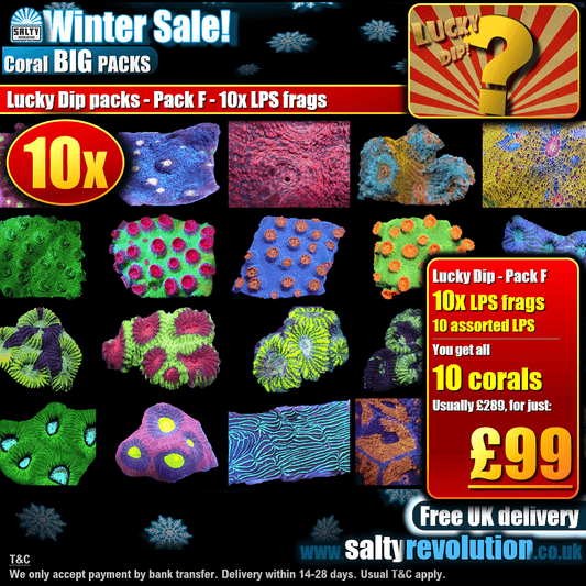 Winter Sale - BIG PACKS - Lucky Dip packs! - Pack F - 10x LPS frags £99