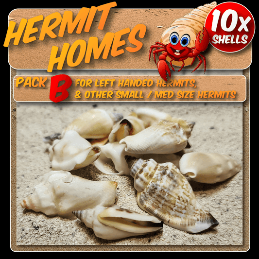 Hermit homes pack B - 10x Shells suitable for left handed hermits and other small/med size hermits.