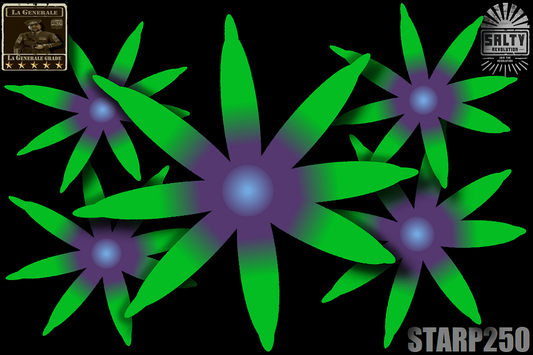 STARP250 - Palm tree Star polyps - Green lashes with purple centres - ⭐La Generale grade⭐.