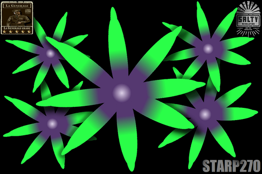 STARP270 - Palm tree Star polyps - Bright green lashes with purple centres - ⭐La Generale grade⭐.