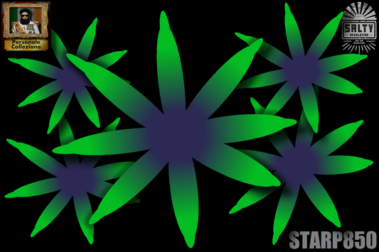 STARP850 - Palm tree Star polyps - Dark green lashes with blue/purple centres - 💎El Presidente Personale Collezione grade💎.