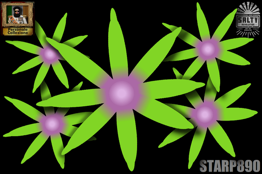 STARP890 - Palm tree Star polyps - Yellow/green lashes with pale pink centres - 💎El Presidente Personale Collezione grade💎.