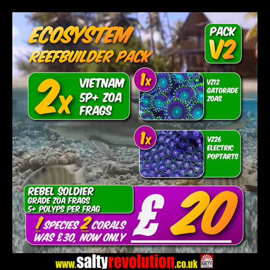 V2 ECOSYSTEM Reefbuilder pack v2 - 2x Zoa coral frags.