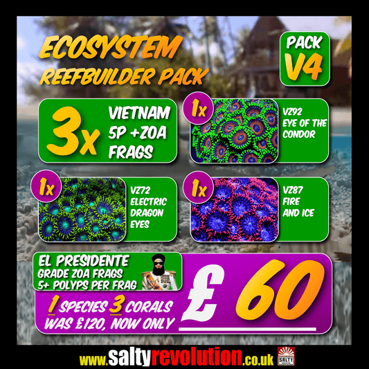 V4 ECOSYSTEM Reefbuilder pack V4 - 3x El Presidente grade Zoa coral frags.