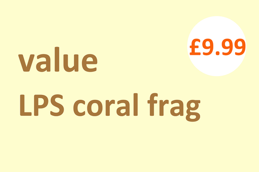 Value LPS coral frag